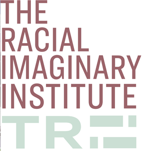 Racial Imaginary Institute 